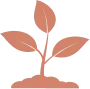plant graphic